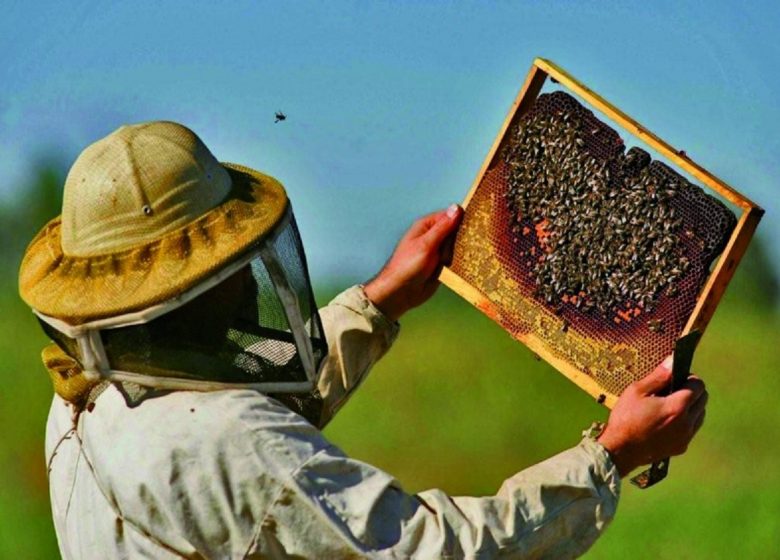 Guided tour of the honey house of the oratory