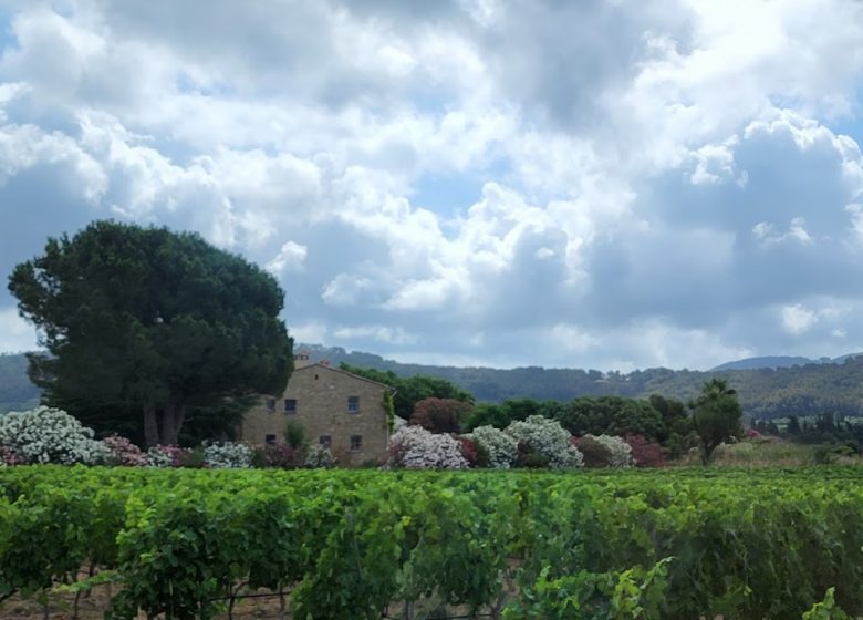 Chateau d'Azur
