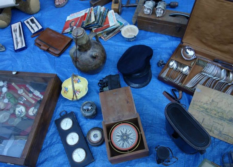 Les puces de La Capte