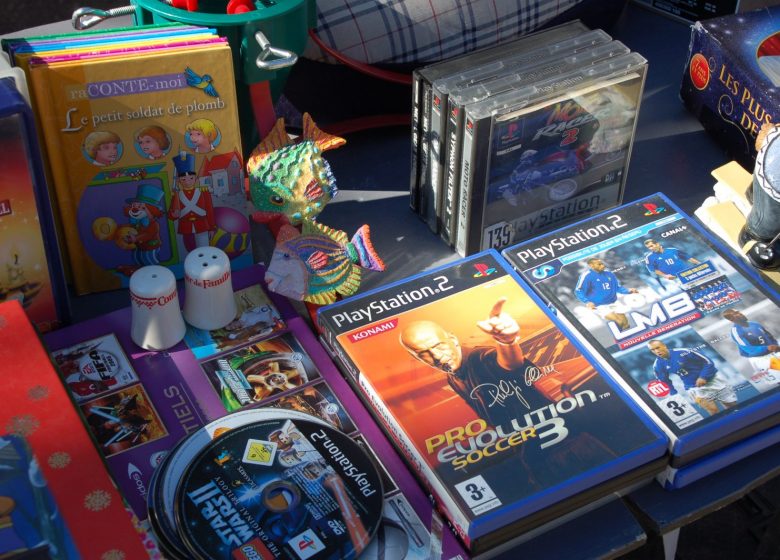 Les puces de La Capte