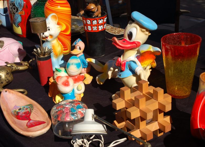 Les puces de La Capte