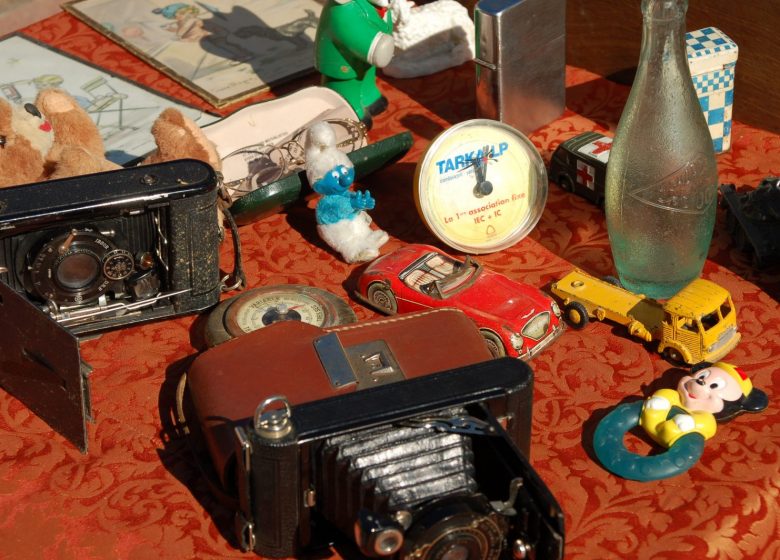 Les puces de La Capte