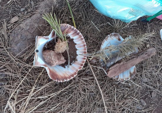 Sortie enfant : Dans la peau d&rsquo;un homme préhistorique – Sorsciences