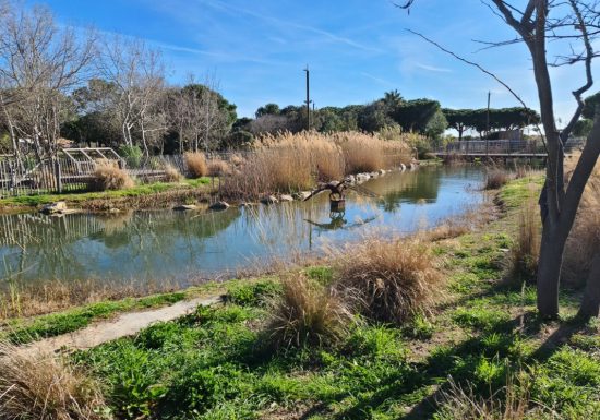 Sortie enfant : Dans la peau d&rsquo;un aventurier – Sorsciences