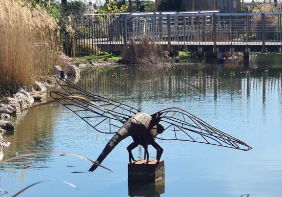 Sortie enfant : Dans la peau d&rsquo;un aventurier – Sorsciences