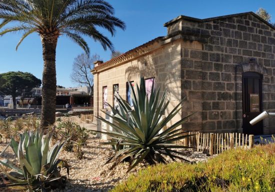 Sortie enfant : Dans la peau d&rsquo;un aventurier – Sorsciences