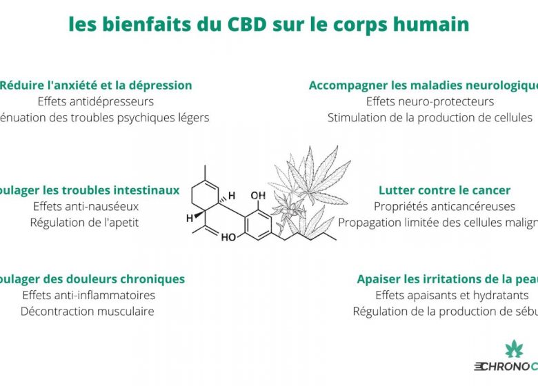 Chrono CBD