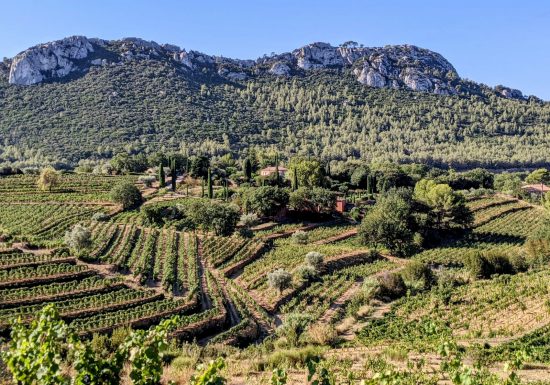 OenoTour Parcours Magique