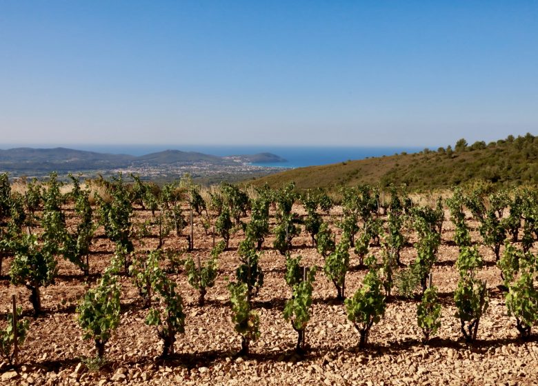 Domaine de La Bégude