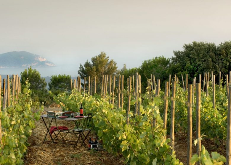 Domaine de La Bégude