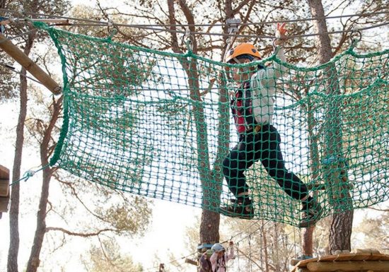 Le Royaume des arbres