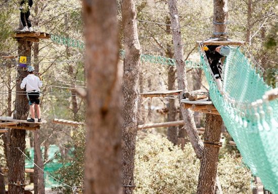 Le Royaume des arbres