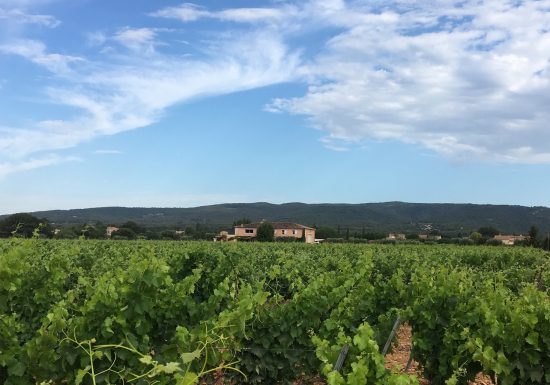 Domaine  Pieracci