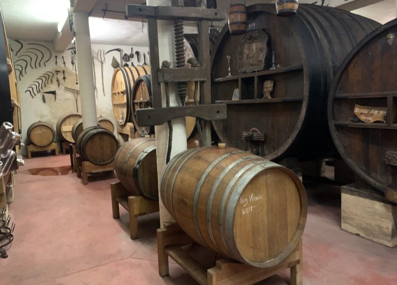 Discovery of the AOC Bandol vineyards
