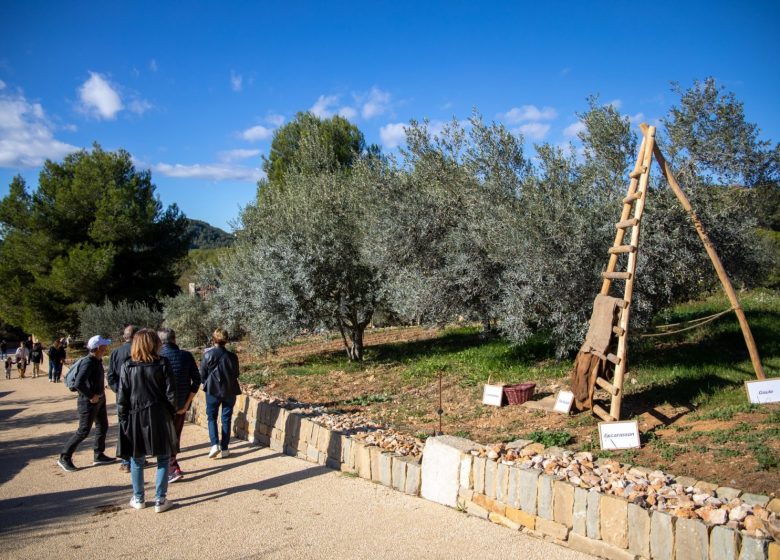 Le Jardin des Oliviers