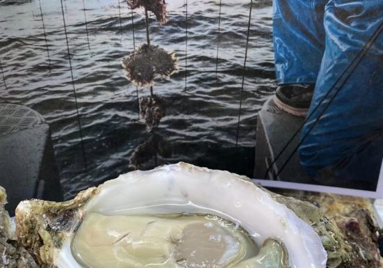 Coquillages du Sud, Les Perles de Tamaris