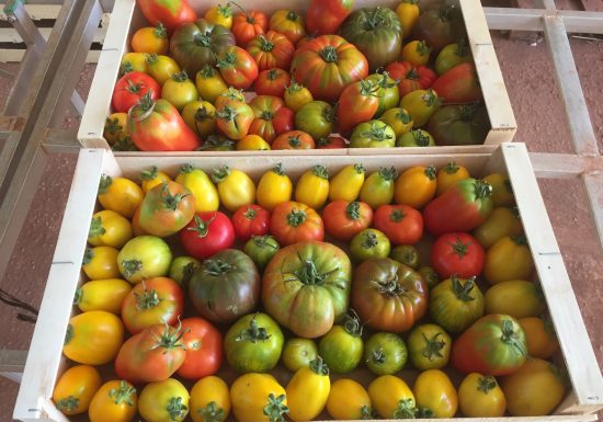 Le Potager du Domaine de Fabrégas