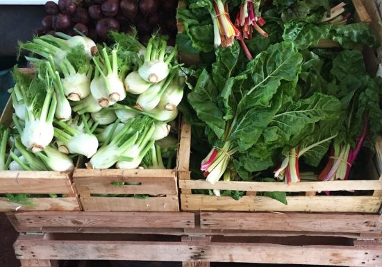 Le Potager du Domaine de Fabrégas