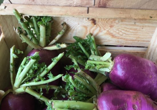 Le Potager du Domaine de Fabrégas