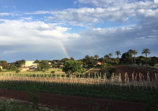 Le Potager du Domaine de Fabrégas