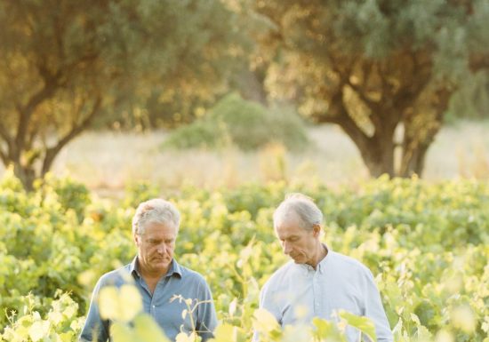 Domaine de Terrebrune