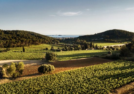 Domaine de Terrebrune