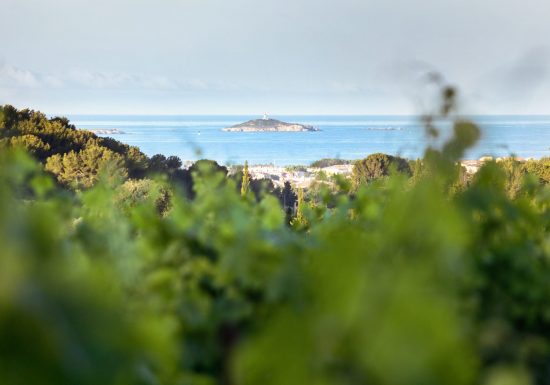 Domaine de Terrebrune