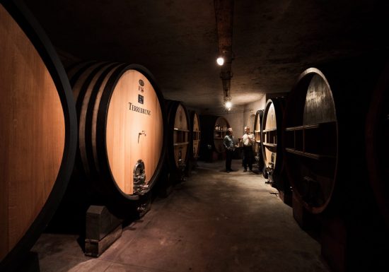 Domaine de Terrebrune