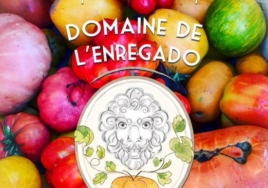 Domaine de l’Enregado