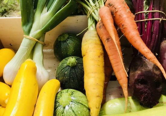 Domaine de l’Enregado