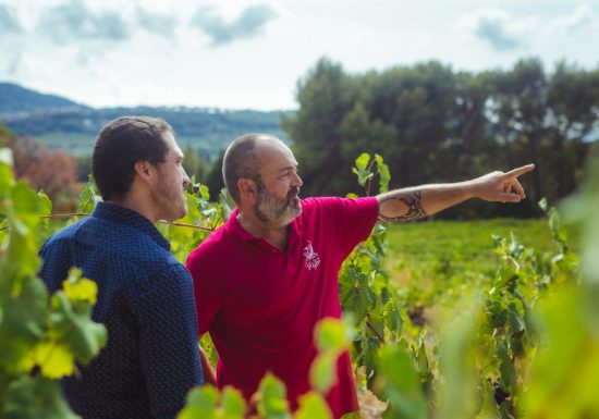 Au Clair de La Vigne