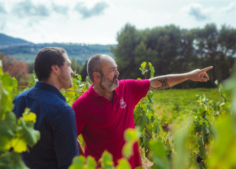 Au Clair de La Vigne