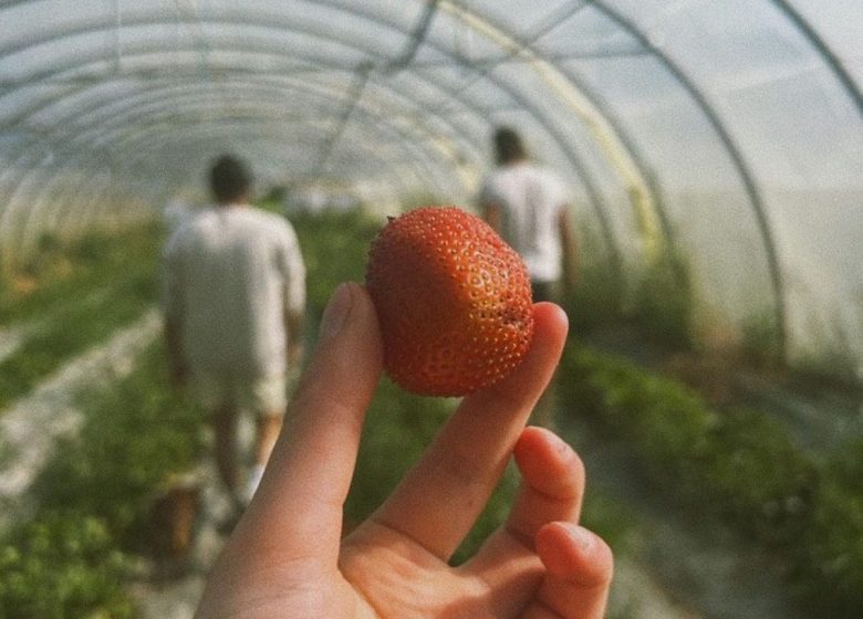 Ferme Auvrai