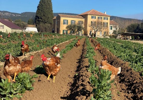 Ferme Auvrai