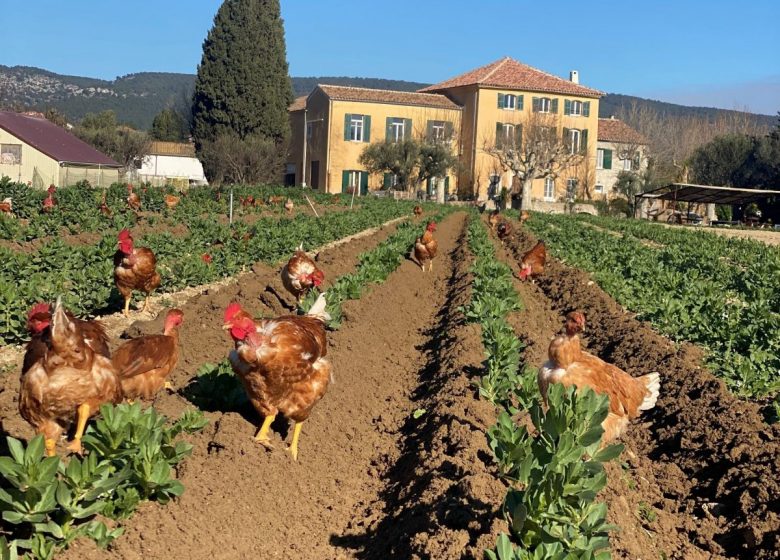 Ferme Auvrai