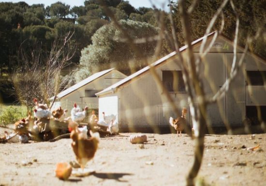 Ferme Auvrai