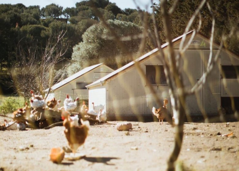Ferme Auvrai