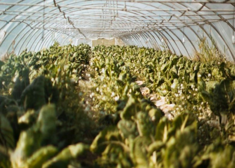 Ferme Auvrai