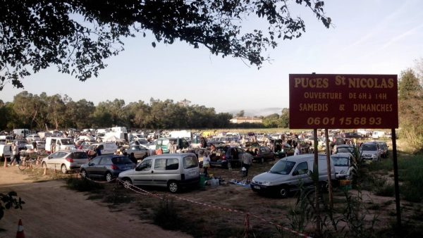 Les puces de Saint Nicolas