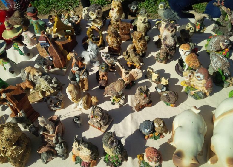 Les puces de Saint Nicolas