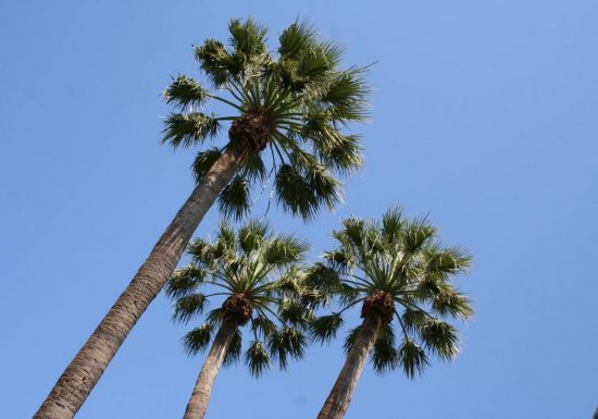Marché nocturne des Créateurs de Provence