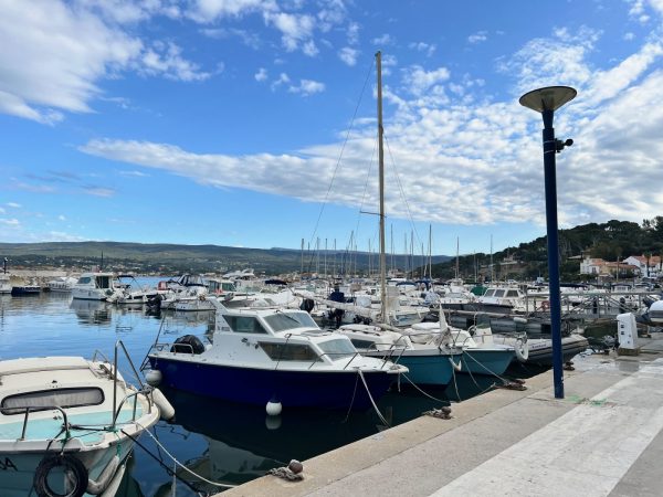 Sardinade dégustation d’huitres