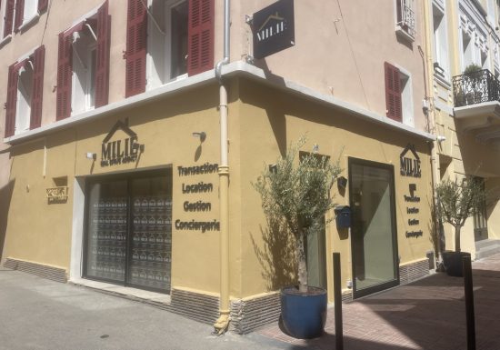 Agence immobilière Milie