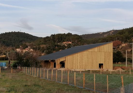 Les canards de la Sainte-Baume