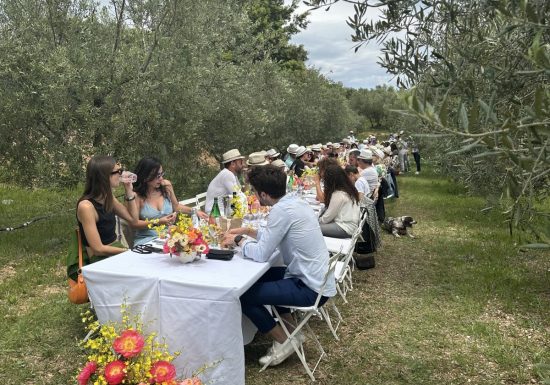 Oliveraie Piémont du Garlaban