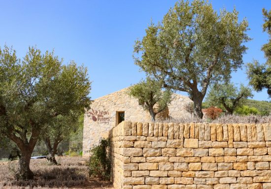 Le Jardin des Oliviers