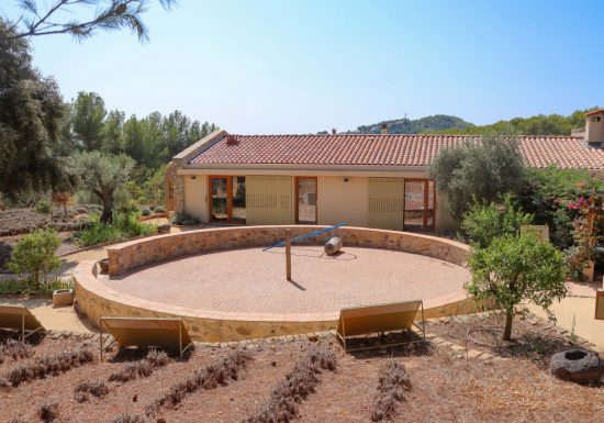 Le Jardin des Oliviers