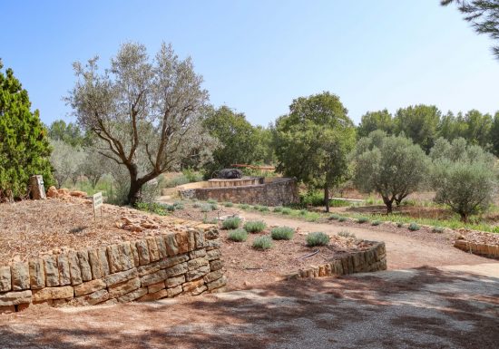 Le Jardin des Oliviers