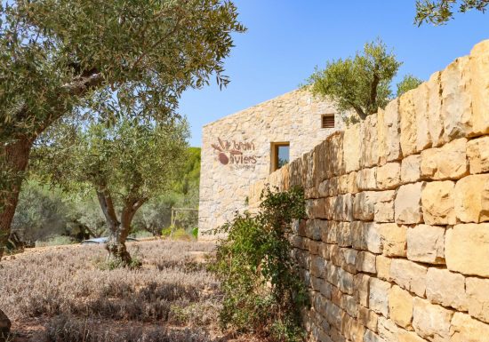 Fête de l’huile nouvelle