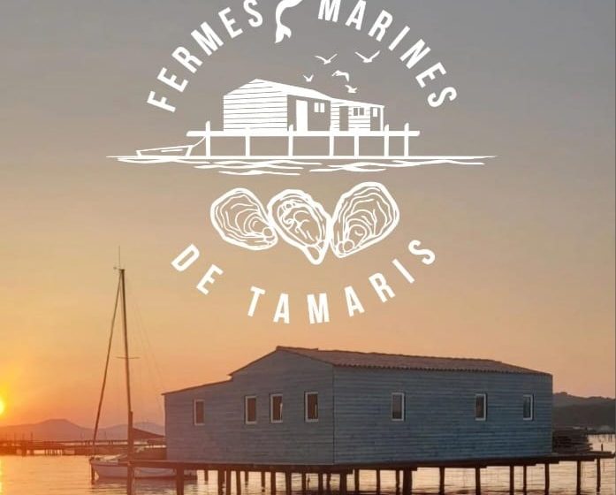 Les fermes marines de Tamaris
